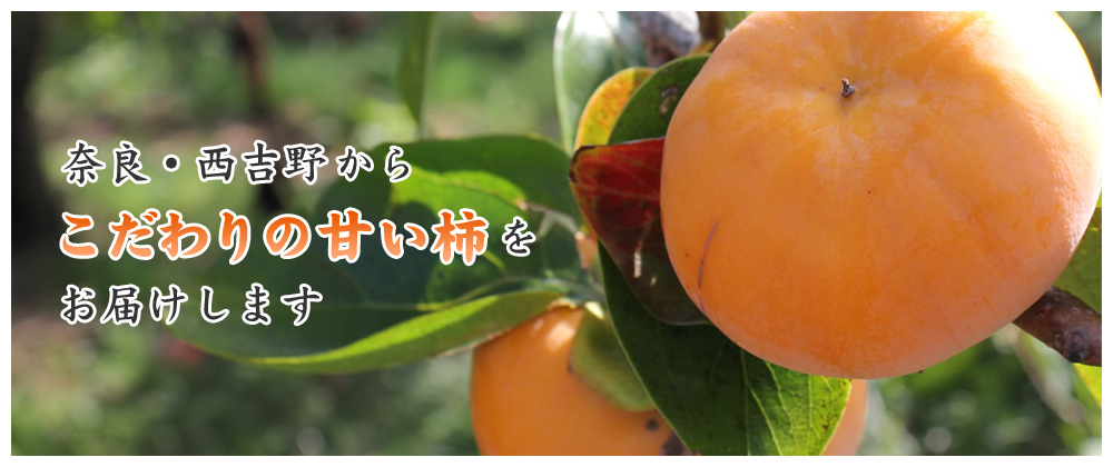 奈良西吉野の柿販売・通販は柿の匠へ-富有柿・キウイが全品送料無料